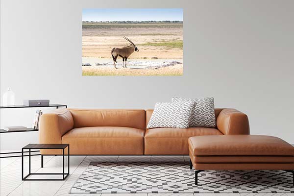 Oryx in Etosha Pan