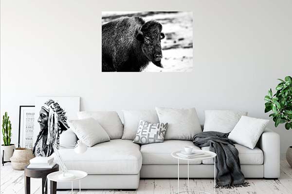 Bison in Winter I