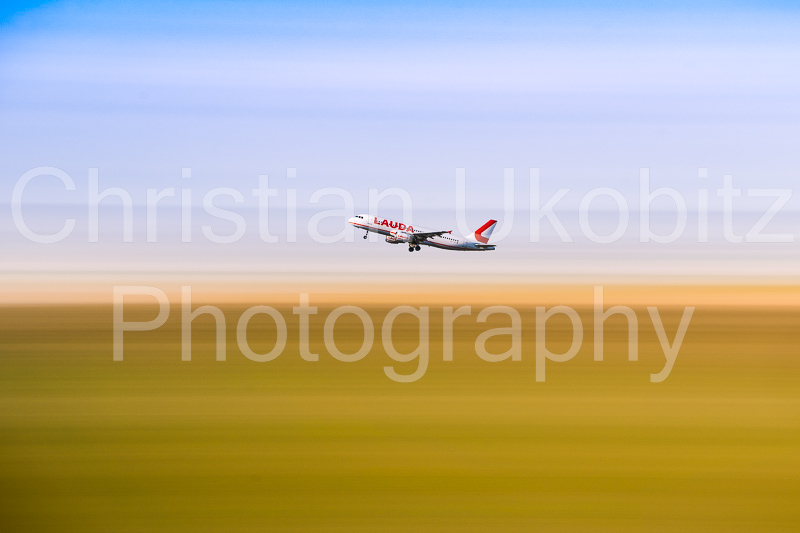 fly away