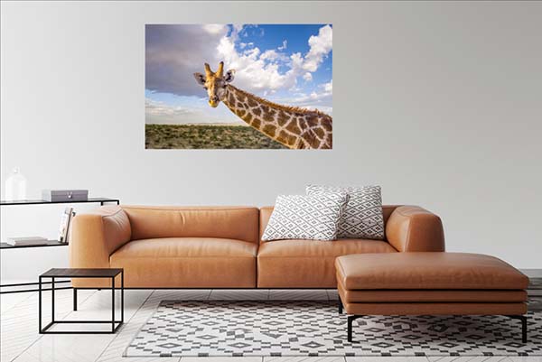 Giraffe Giselle