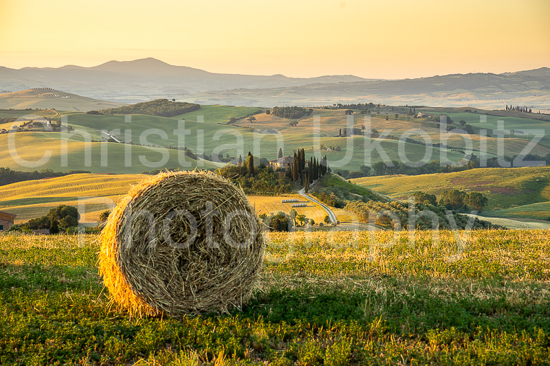 Erstes Heu San Quirico d'Orcia 