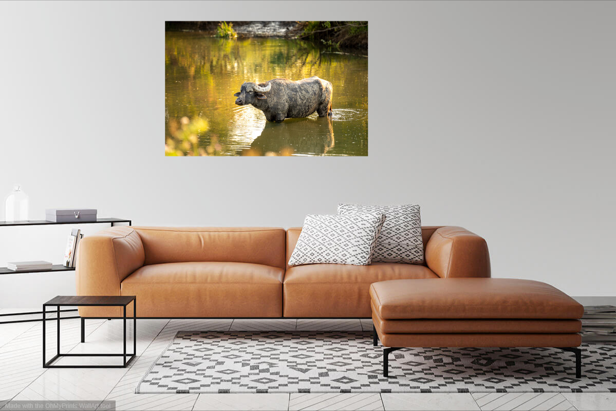 young water buffalo