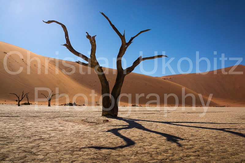 Deadvlei