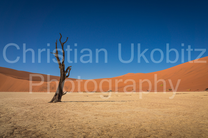 Deadvlei #2