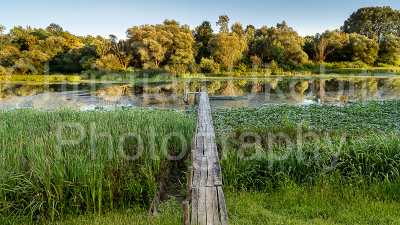 der steg
