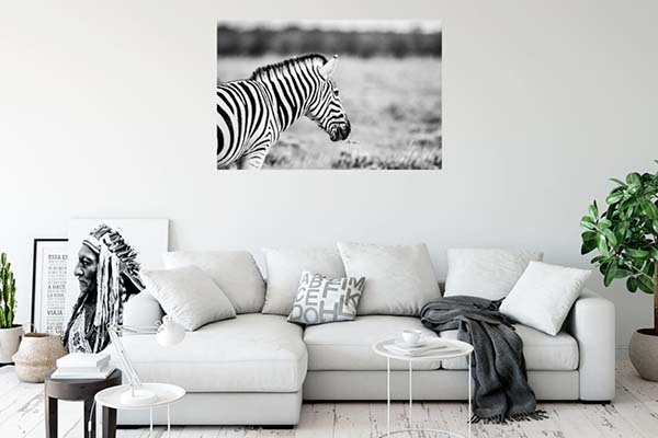 Zebra B/W