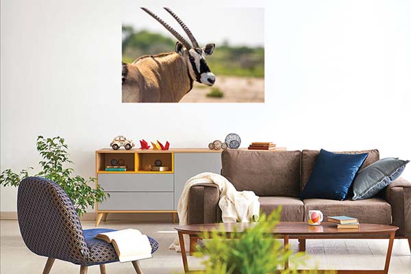 Oryx