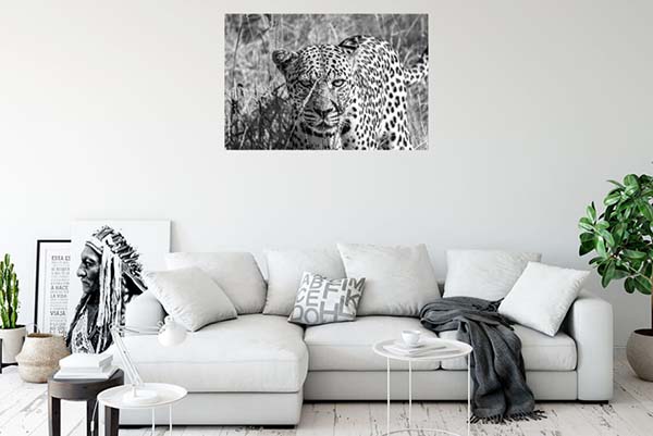 Leopard B/W